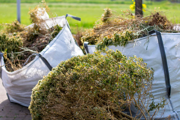 Best Electronics and E-Waste Disposal  in Georgetown, KY